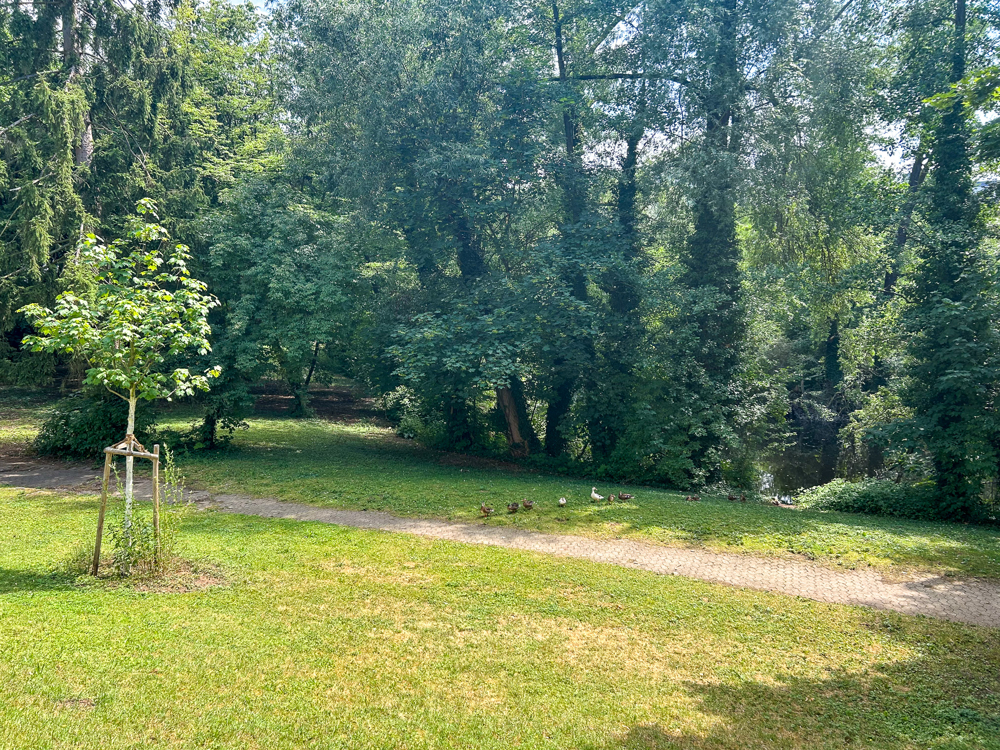 Umgebung