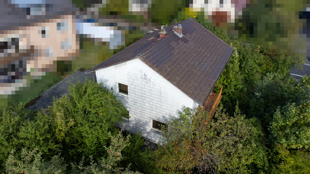Westansicht