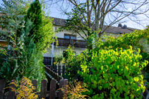 rückwärtiger Garten