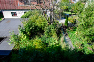rückwärtiger Garten